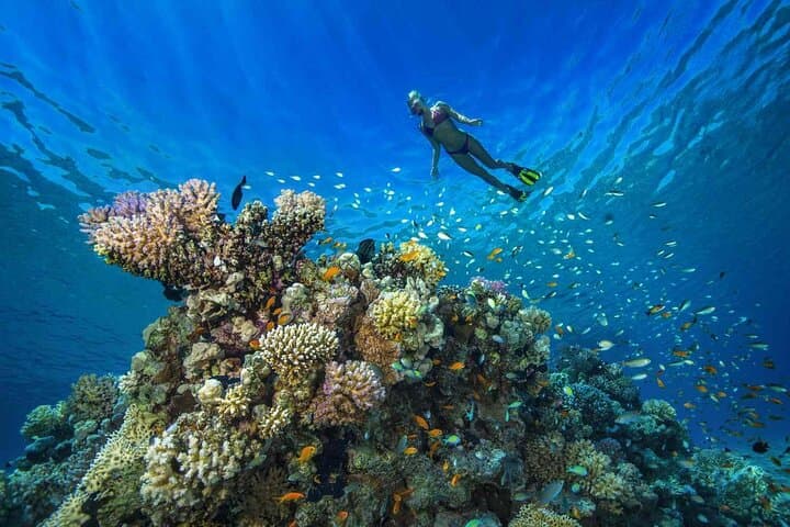 Blue Lagoon Bali: Private Snorkeling Day Trip from Padangbai with Lunch photo 4
