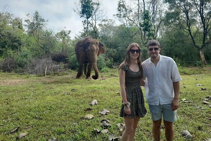 10-day-sri-lanka-itinerary-colombo-to-galle-safaris-tea-train photo 2