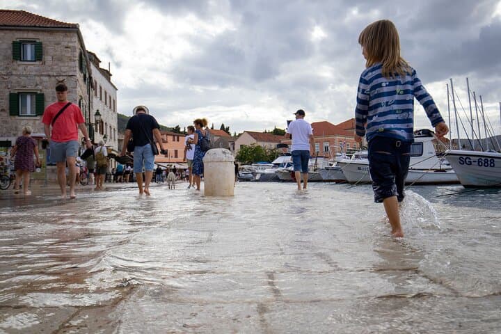 Hvar Half-Day Shore Excursion: Towns, Peka Lunch & Local Wine Tasting photo 5