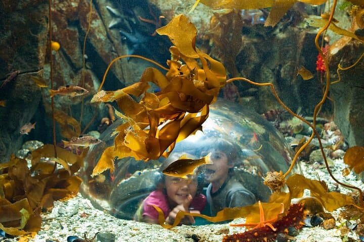 Victoria Rainforest, Mount Douglas Vista & Salish Sea Aquarium Day Tour