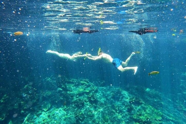 Full Day Tulum Paradise Beach — Snorkel with Sea Turtles & Visit Tulum Ruins photo 6