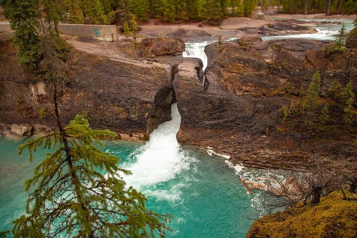 One-Day Canadian Rockies Tour: Banff, Yoho & Kootenay Highlights photo 4