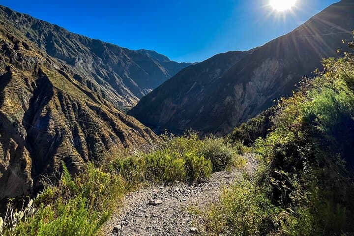 Colca Canyon Trekking: 3-Day Cabanaconde to Sangalle Hike with Hot Springs photo 2