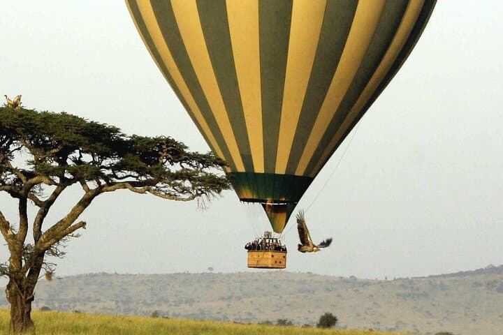 4-Day Tarangire, Serengeti & Ngorongoro Safari — Big Five in Four Days photo 3