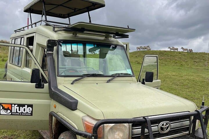 Chasing the Great Migration: 8-Day Serengeti Safari from Arusha