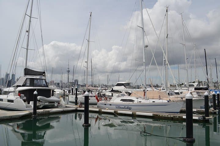 Auckland Half-Day Private City Tour: Westhaven Marina, Mt Eden & Mission Bay photo 3