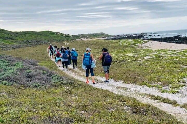 Sacramento Trail Coastal Hike — Port Elizabeth Shore Excursion photo 5