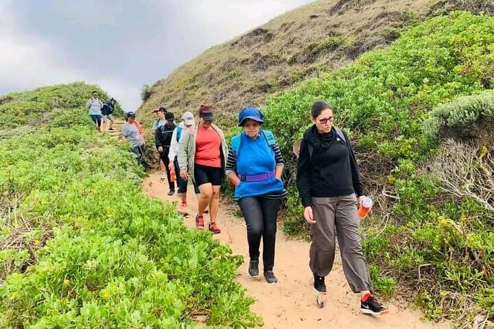 Sacramento Trail Coastal Hike — Port Elizabeth Shore Excursion