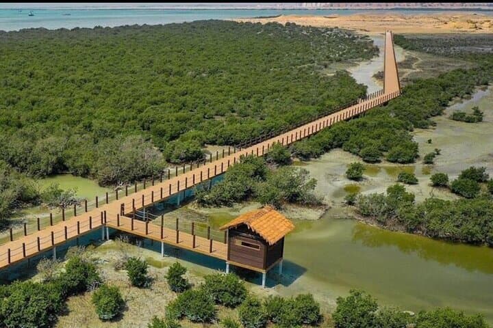 North & West Coast of Qatar: Full-Day Private Tour to Al Zubarah, Zekreet and the Mangroves
