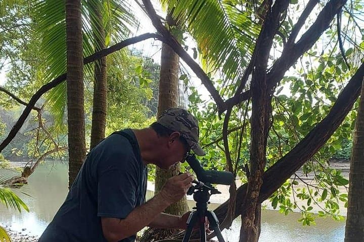 Coastal Birdwatching at Marino Ballena National Park — Uvita Beach Guide photo 1