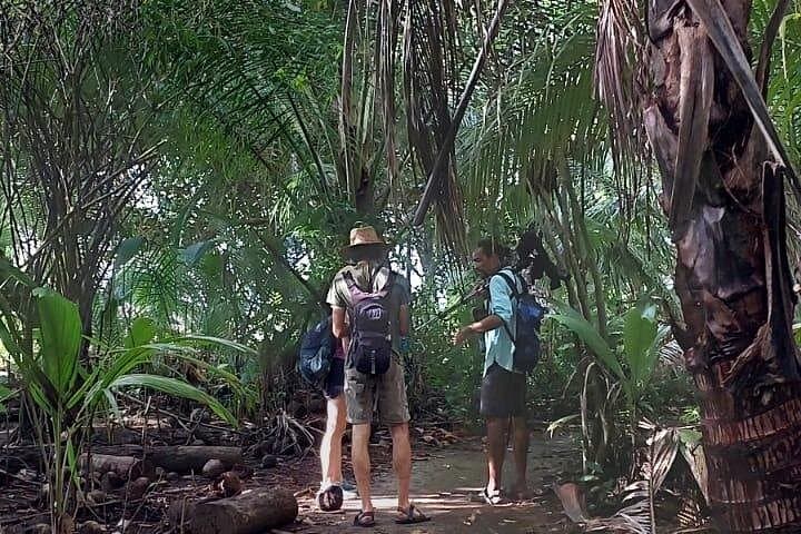 Coastal Birdwatching at Marino Ballena National Park — Uvita Beach Guide photo 3