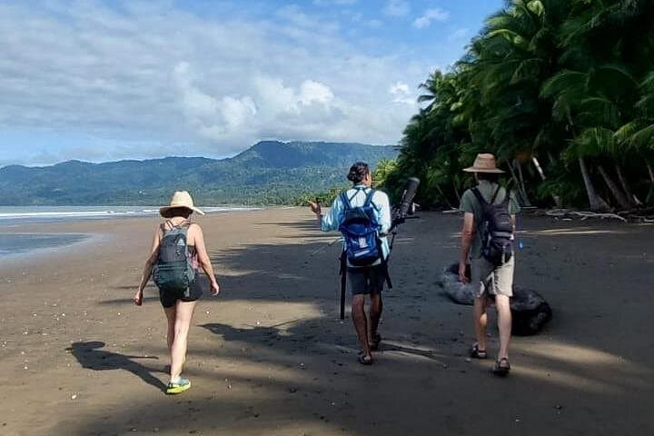 Coastal Birdwatching at Marino Ballena National Park — Uvita Beach Guide photo 4