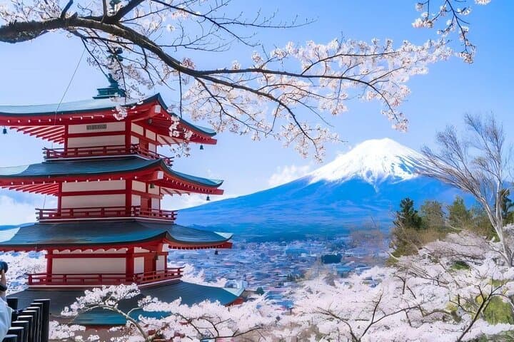 Instagram-Worthy Mt. Fuji & Lake Kawaguchiko Day Trip from Tokyo photo 4