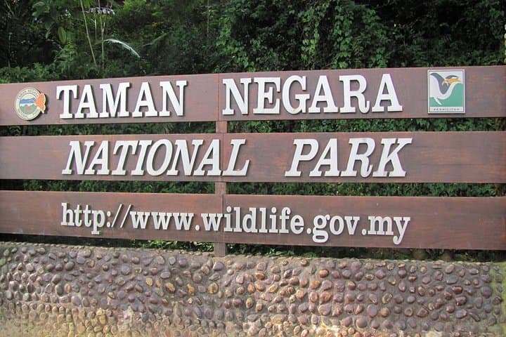 Taman Negara Day Trip from Kuala Lumpur — Canopy Walks, Orang Asli & River Rapids photo 1