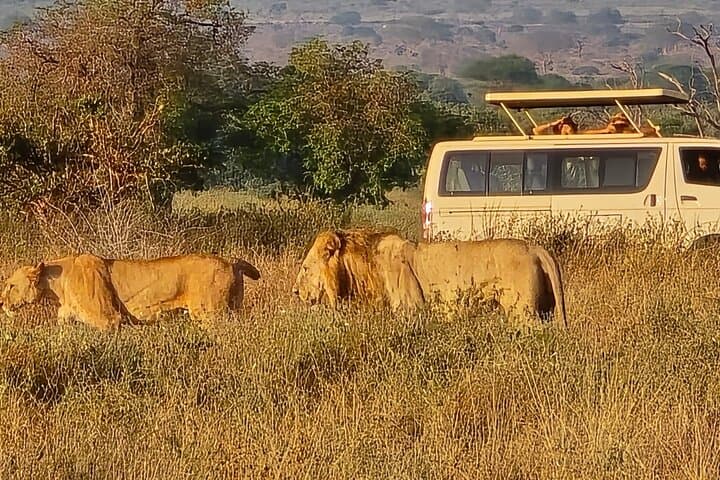 Tsavo East Day Trip: Open-Roof Game Drive from the Coast photo 2