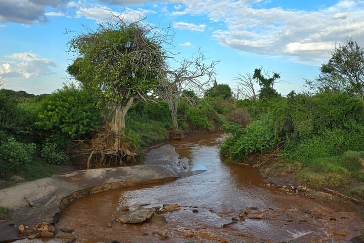 Tsavo East Day Trip: Open-Roof Game Drive from the Coast photo 3