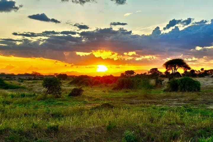 Tsavo East Day Trip: Open-Roof Game Drive from the Coast photo 4
