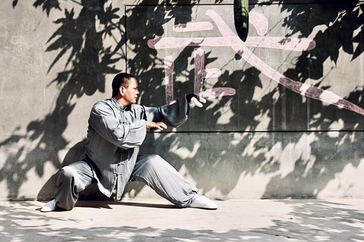 Xi'an Private Kung Fu Lesson and Terra-cotta Warriors Day Tour photo 3