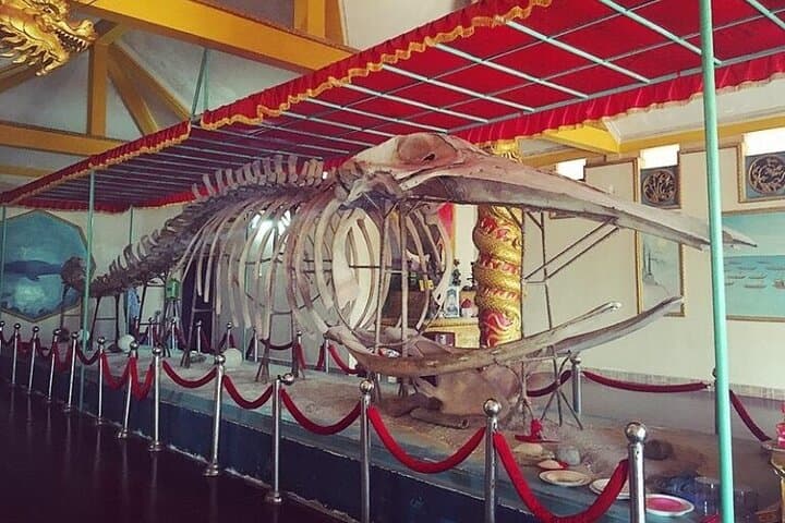 Vung Tau Discovery: Private Coastal Day Trip from Phu My Port photo 3