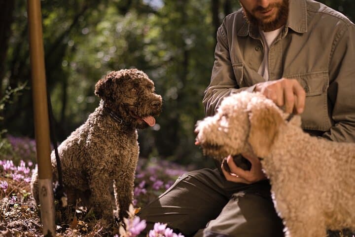 Truffle Hunting and Gourmet Lunch in Rome's Countryside