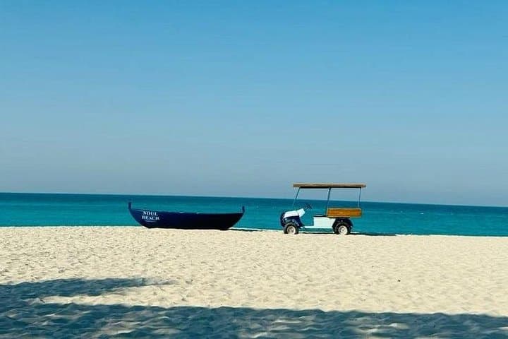 Abu Dhabi Private Full-Day City Tour from Dubai — Sheikh Zayed, Ferrari World & Corniche photo 3