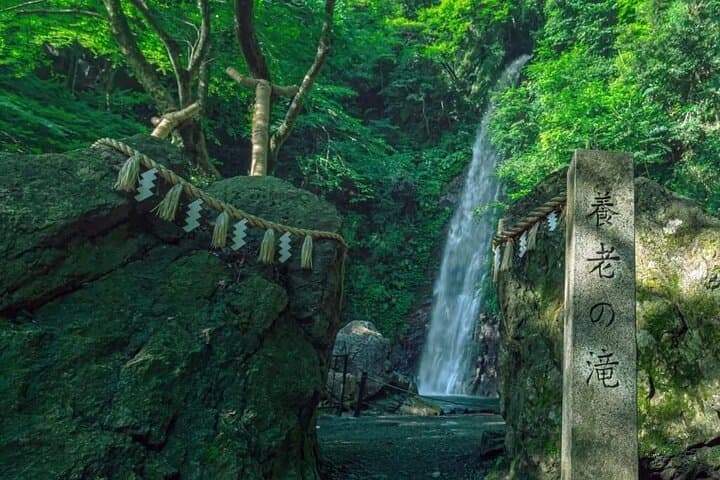 Yoro Falls and Mt. Gozaisho Ropeway Day Trip from Nagoya photo 3