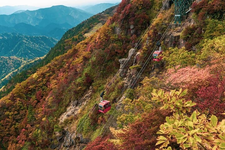 Yoro Falls and Mt. Gozaisho Ropeway Day Trip from Nagoya photo 6