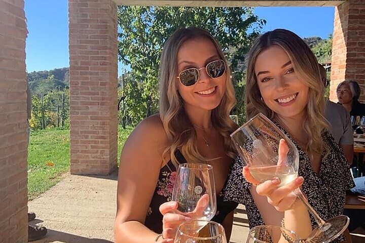 Prosecco Hills Full-Day Wine Tasting from Venice: Two Wineries & Lunch