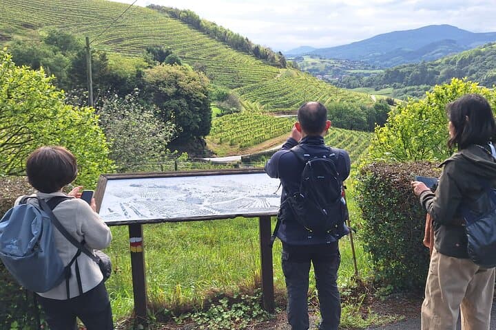 Camino Coastal Hike: Orio to Getaria through Txakoli Vineyards