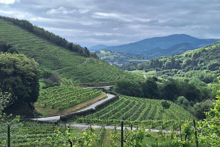 Camino Coastal Hike: Orio to Getaria through Txakoli Vineyards photo 4