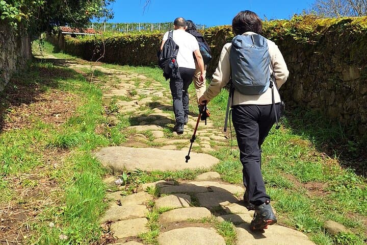 Camino Coastal Hike: Orio to Getaria through Txakoli Vineyards photo 2