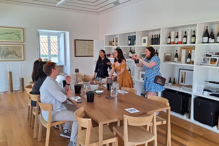 Private Douro Valley Wine Tour from Porto — Pinhão, Port Tastings & N222 Scenic Drive