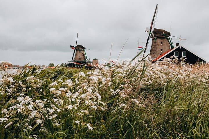 Zaanse Schans, Volendam & Edam Day Trip from Amsterdam — Windmills, Cheese & Clogs photo 6