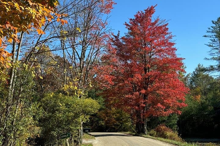Private Backroads Tour of Vermont: Custom Day Trips from Woodstock photo 1