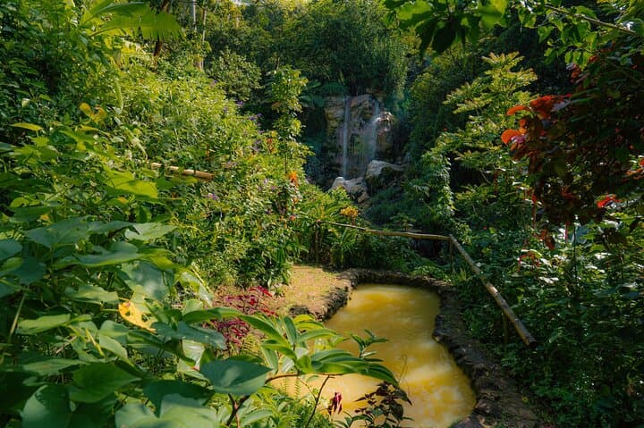 Sapphire Falls and Hike — Saint Lucia Mineral Pools & Rainforest Walk from Soufrière