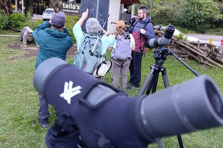 Monteverde Guided Eco Walk: Cloud Forest Birds, Plants & Nature Tour