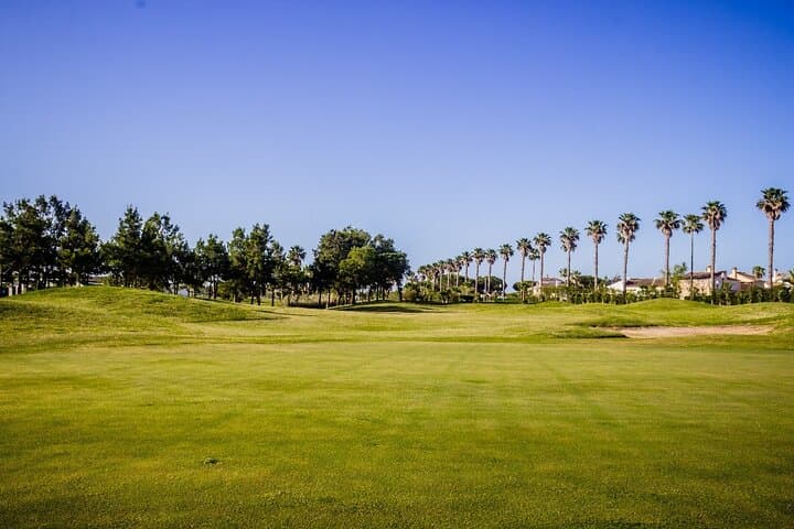 Experience an Exclusive Golf Day in Madrid: A Perfect Blend of Sport and City Charm photo 2