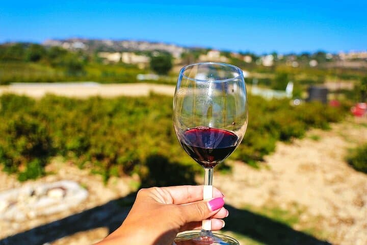 Countryside Wine Tasting: Sterna & Mastros Wineries from Paphos