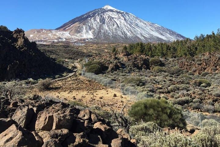 Teide National Park VIP Tour: Private Mount Teide Experience, Tenerife photo 2