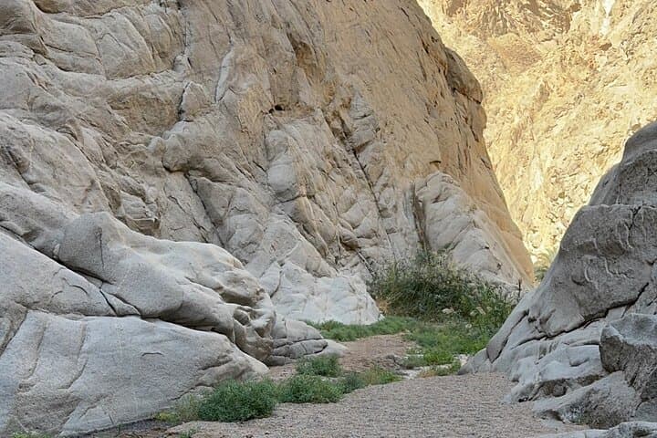 Wadi Hisma Day Trip from Tabuk — Ship Rock, Secret Garden & Bajdah Wildlife photo 3