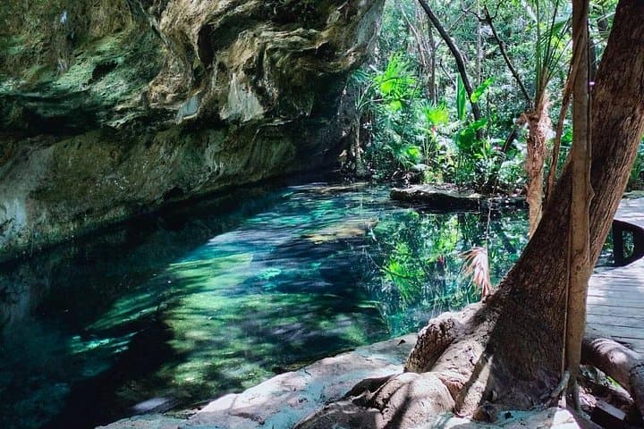 Private 4-Cenote Jungle Swim: Hidden Pools near Playa del Carmen photo 2