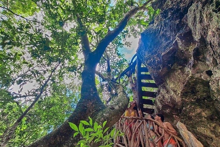 Private 4-Cenote Jungle Swim: Hidden Pools near Playa del Carmen photo 4
