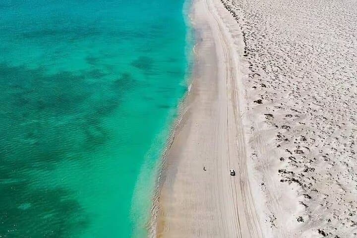 Road Trip to Bar Al Hakman: Oman’s Pink Lagoons and Birdwatching Escape photo 6