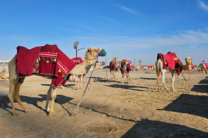 Doha Desert Safari: Dune Bashing, Camel Rides & Inland Sea Adventure photo 3