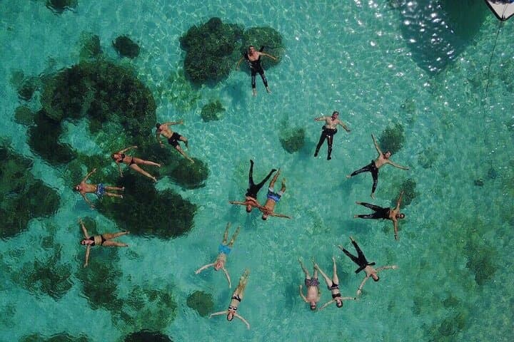 Daymaniyat Island Snorkelling — Oman Marine Reserve Guide photo 3