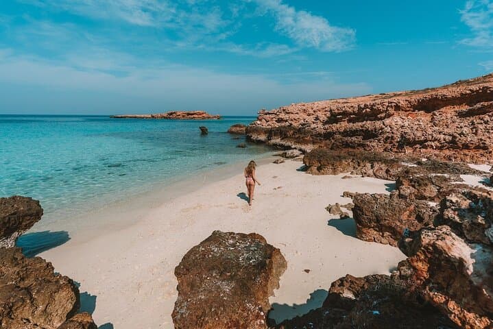 Daymaniyat Island Snorkelling — Oman Marine Reserve Guide photo 4