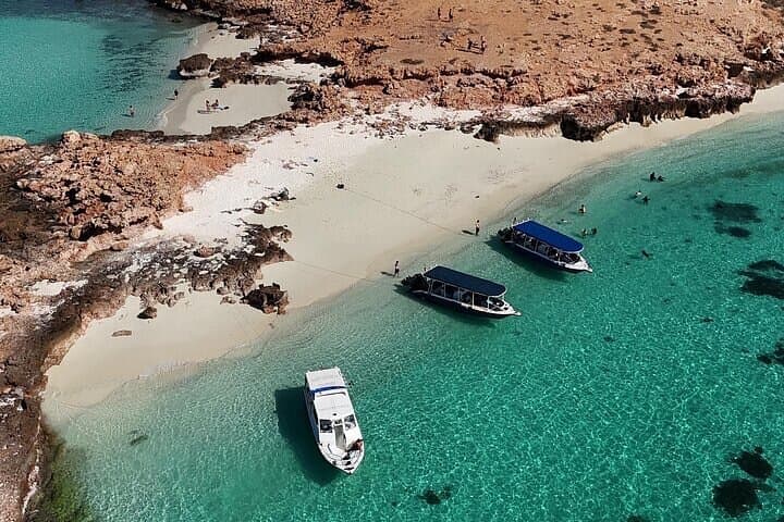 Daymaniyat Island Snorkelling — Oman Marine Reserve Guide photo 2