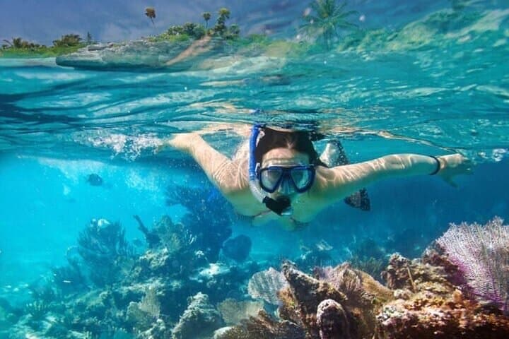 Daymaniyat Island Snorkelling — Oman Marine Reserve Guide photo 5