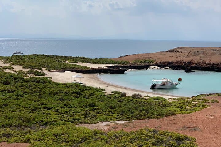 Daymaniyat Island Snorkelling — Oman Marine Reserve Guide photo 6