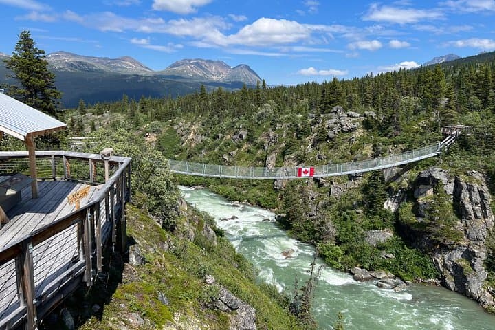 Skagway to the Yukon Suspension Bridge: White Pass Scenic Drive & Tagish Village Visit photo 3
